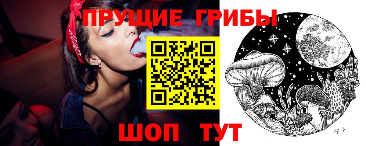 Псилоцибиновые грибы Psilocybe Слободской