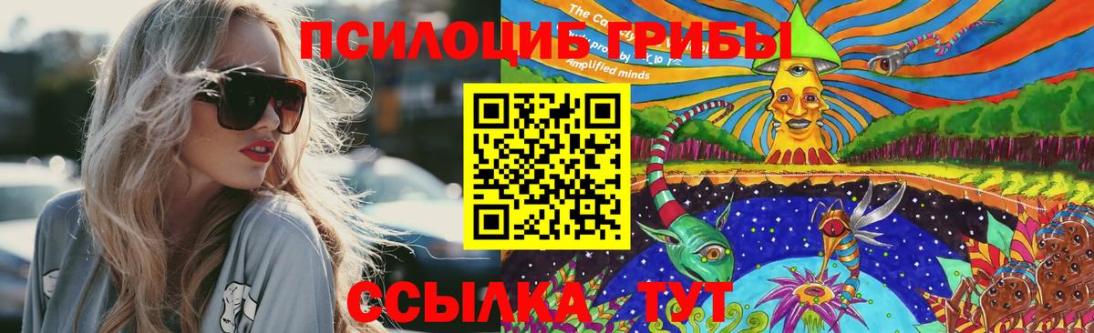 Псилоцибиновые грибы прущие грибы  Вход с VPN  Слободской  Псилоцибиновые грибы мухоморы 